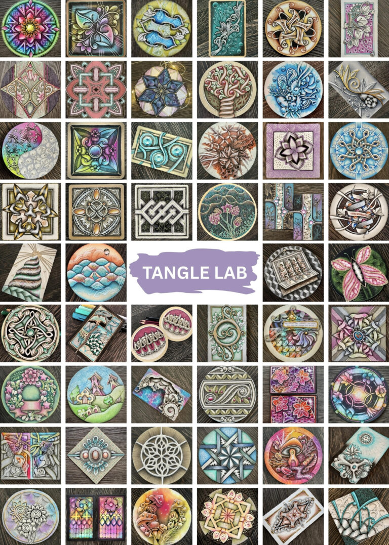 Tangle Lab 4 years